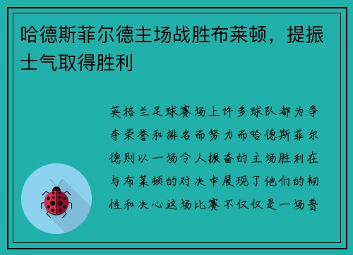 哈德斯菲尔德主场战胜布莱顿，提振士气取得胜利