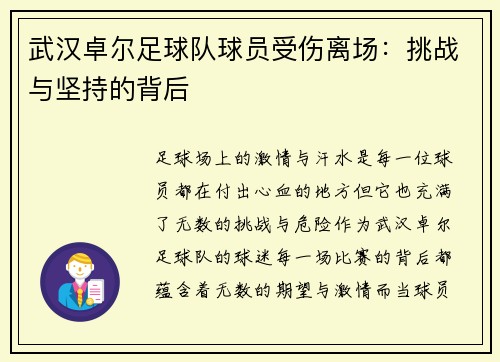 武汉卓尔足球队球员受伤离场：挑战与坚持的背后