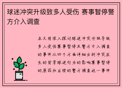 球迷冲突升级致多人受伤 赛事暂停警方介入调查