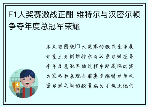F1大奖赛激战正酣 维特尔与汉密尔顿争夺年度总冠军荣耀