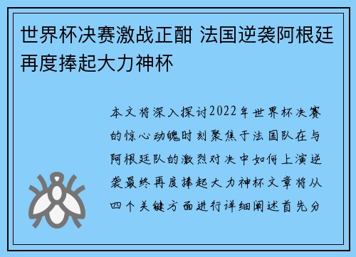 世界杯决赛激战正酣 法国逆袭阿根廷再度捧起大力神杯